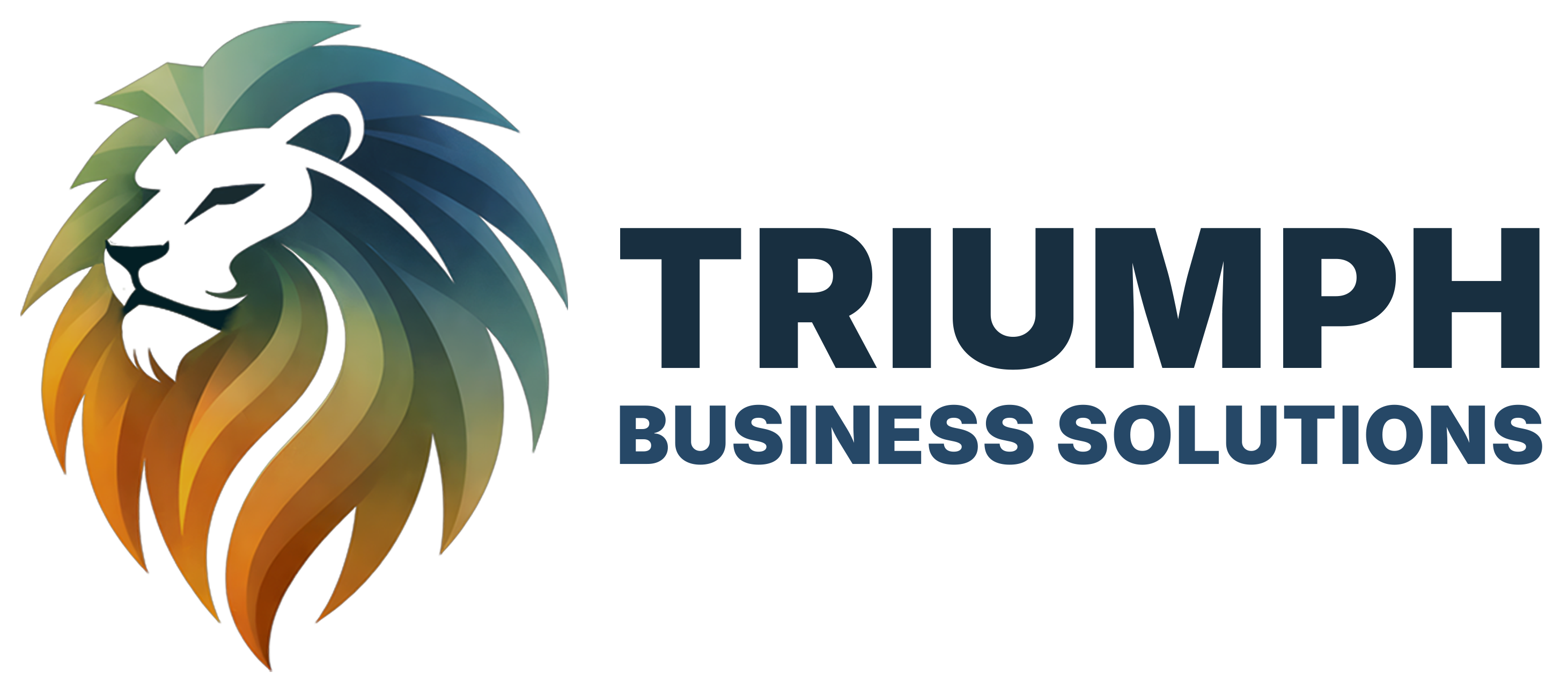 Triumph Business Solutions